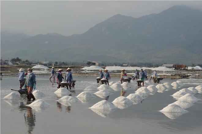 Ruộng muối trắng xóa bên vịnh Vân Phong
